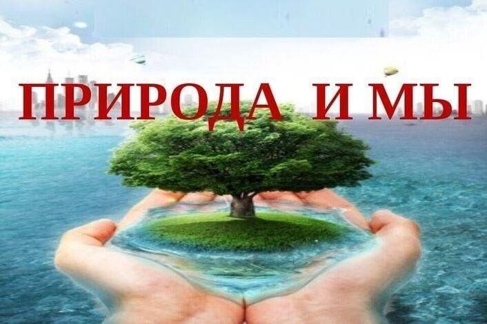 Экологическая игра «Природа и мы»..