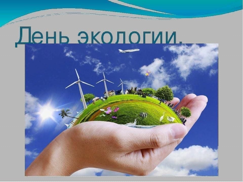 День экологии..